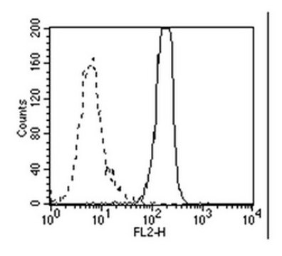 Anti-HMGB1 Antibody, clone HMG1-5H6 clone HMG1-5H6, from hamster