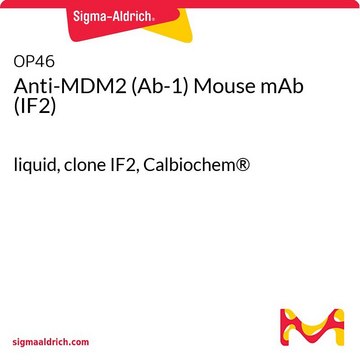 Anti-MDM2 (Ab-1) Mouse mAb (IF2) liquid, clone IF2, Calbiochem&#174;