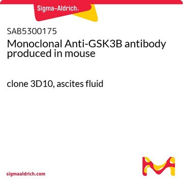 Monoclonal Anti-GSK3B antibody produced in mouse clone 3D10, ascites fluid