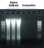 GenElute™ Stool DNA Isolation Kit