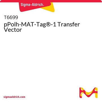 pPolh-MAT-Tag&#174;-1 Transfer Vector