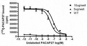 ChemiSCREEN Human PAC1-long Receptor Membrane Preparation Human PAC1 long isoform / PACAP GPCR membrane preparation for Radioligand binding Assays &amp; GTPγS binding.