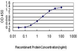 Monoclonal Anti-PAFAH1B1 antibody produced in mouse clone 2C12, purified immunoglobulin, buffered aqueous solution