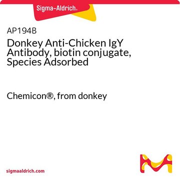 Donkey Anti-Chicken IgY Antibody, biotin conjugate, Species Adsorbed Chemicon&#174;, from donkey