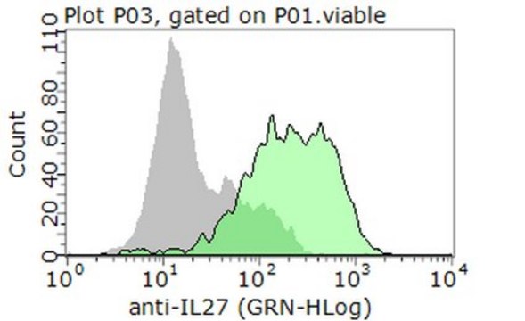 Anti-IL-27A Antibody from rabbit, purified by affinity chromatography