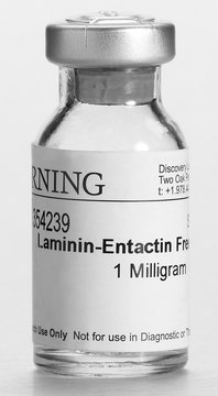 Corning&#174; Ultrapure Laminin from mouse, pack of 1&#160;mg