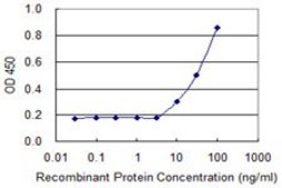 Monoclonal Anti-RSU1, (C-terminal) antibody produced in mouse clone 3F10, purified immunoglobulin, buffered aqueous solution