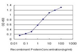 Monoclonal Anti-LHX4 antibody produced in mouse clone 4A11, purified immunoglobulin, buffered aqueous solution