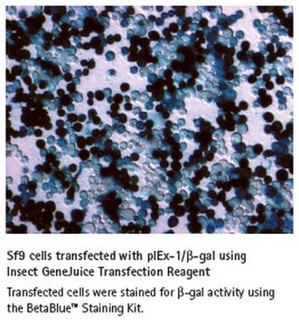 Insect GeneJuice&#174; Transfection Reagent Proprietary liposome transfection reagent optimized for maximal transfection efficiency of Sf9 insect cells for baculovirus protein expression.