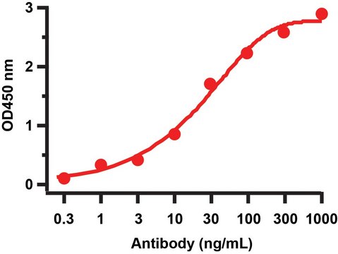 Anti-SARS-CoV-2 (COVID-19) NSP4 antibody produced in rabbit affinity isolated antibody