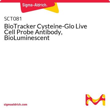 BioTracker Cysteine-Glo Live Cell Probe Antibody, BioLuminescent