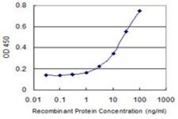 Monoclonal Anti-TNFRSF19 antibody produced in mouse clone 1H6, purified immunoglobulin, buffered aqueous solution