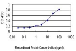 Monoclonal Anti-TPMT antibody produced in mouse clone 2H3, purified immunoglobulin, buffered aqueous solution