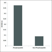 Anti-phospho-Rabphilin 3A (pSer237) antibody produced in rabbit affinity isolated antibody