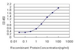 Monoclonal Anti-DHX8 antibody produced in mouse clone 1E10, purified immunoglobulin, buffered aqueous solution