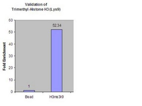 Anti-trimethyl-Histone H3 (Lys9) Antibody, clone 6F12-H4 clone 6F12-H4, from mouse