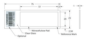 Grace Bio-Labs ONCYTE® AVID™ nitrocellulose film slides 1 (Pads), L × W 51 mm × 20 mm