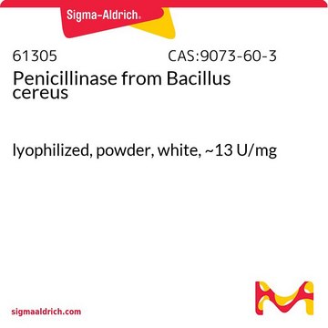 Penicillinase from Bacillus cereus lyophilized, powder, white, ~13&#160;U/mg