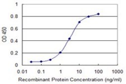 Monoclonal Anti-UPF1 antibody produced in mouse clone 4G3, purified immunoglobulin, buffered aqueous solution