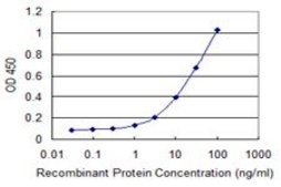 Monoclonal Anti-SCLY antibody produced in mouse clone 3B2, purified immunoglobulin, buffered aqueous solution