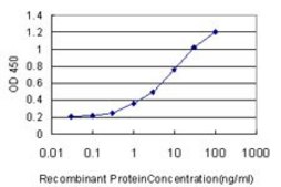Monoclonal Anti-HECTD1 antibody produced in mouse clone 1E10, purified immunoglobulin, buffered aqueous solution