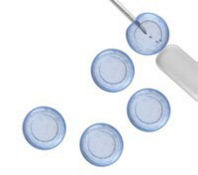 EmbryoMax&#174; Embryonic Stem Cell Line - Strain C57/BL6, passage 11, normal male genotype