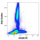 Monoclonal Anti-CD200 PE produced in mouse