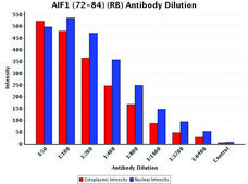 Anti-AIF1 (72-84) antibody produced in rabbit IgG fraction of antiserum, buffered aqueous solution