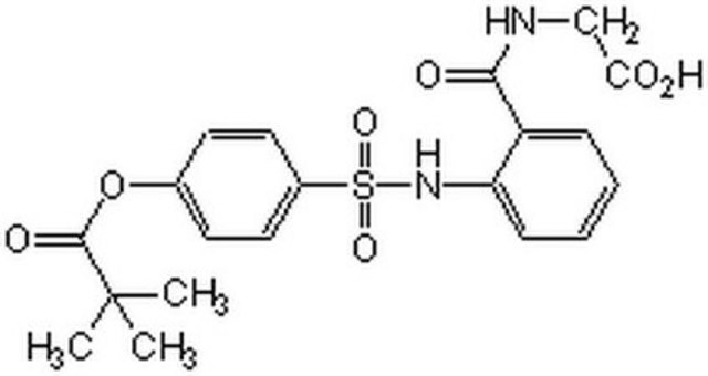 Elastase Inhibitor IV The Elastase Inhibitor IV, also referenced under CAS 127373-66-4, controls the biological activity of Elastase. This small molecule/inhibitor is primarily used for Protease Inhibitors applications.