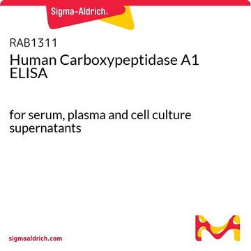 人羧肽酶A1 ELISA for serum, plasma and cell culture supernatants