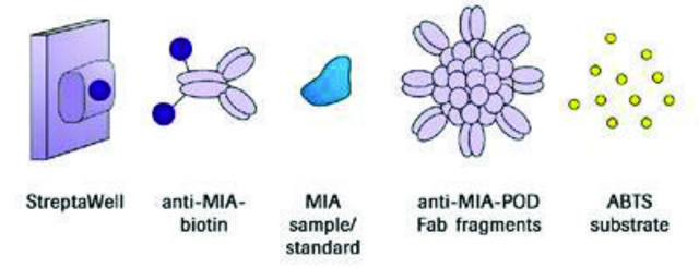 MIA ELISA sufficient for &#8804;96&#160;tests, Roche, kit of 1 (9 components), suitable for ELISA