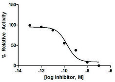 Cathepsin B Inhibitor Screening Kit Sufficient for 100 Fluorometric tests