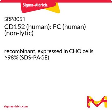 CD152（人）：FC（人）（非分解） recombinant, expressed in CHO cells, &#8805;98% (SDS-PAGE)