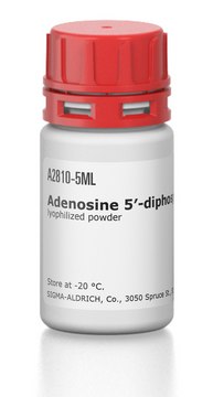 Adenosine 5&#8242;-diphosphate–Agarose lyophilized powder