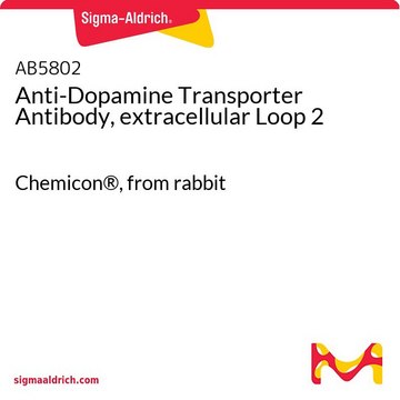 Anti-Dopamine Transporter Antibody, extracellular Loop 2 Chemicon&#174;, from rabbit