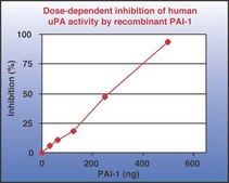 Human Plasminogen activator inhibitor-1, recombinant