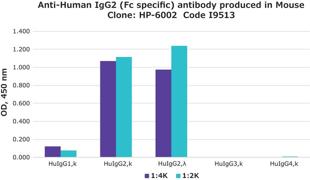 单克隆抗 人 IgG2（Fc 特异性） 小鼠抗 clone HP-6002, ascites fluid