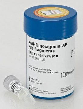 Anti-Digoxigenin-AP, Fab fragments from sheep