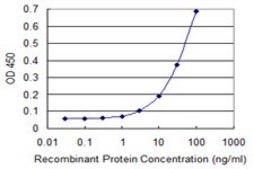 Monoclonal Anti-ZKSCAN5 antibody produced in mouse clone 1A7, purified immunoglobulin, buffered aqueous solution