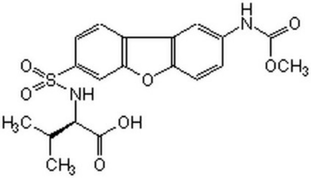 MMP-12 Inhibitor, MMP408 The MMP-12 Inhibitor, MMP408, also referenced under CAS 1258003-93-8, controls the biological activity of MMP-12. This small molecule/inhibitor is primarily used for Protease Inhibitors applications.