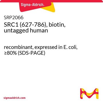 SRC1 (627-786), biotin, untagged human recombinant, expressed in E. coli, &#8805;80% (SDS-PAGE)