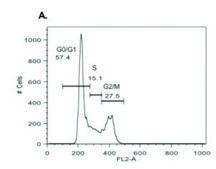Cell Cycle Analysis Kit sufficient for 100 assays