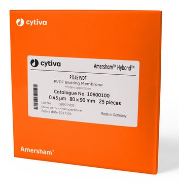 Amersham&#8482; Hybond&#174; LFP Western blotting membrane sandwich, PVDF pore size 0.2&#160;&#956;m, sheet W × L 80&#160;mm × 90&#160;mm , preassembled with 2 x 3MM chr filter papers, pkg of 10&#160;ea