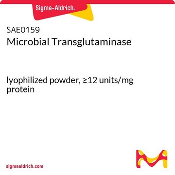 Microbial Transglutaminase lyophilized powder, &#8805;12&#160;units/mg protein