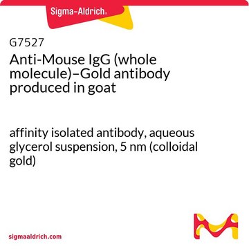 抗 小鼠 IgG（全分子）-金 山羊抗 affinity isolated antibody, aqueous glycerol suspension, 5&#160;nm (colloidal gold)