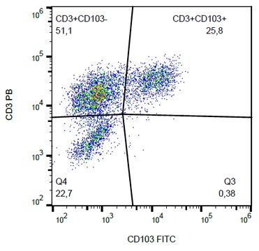 Monoclonal Anti-CD103 FITC produced in mouse