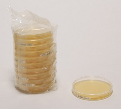 Malt Extract Agar with Chloramphenicol for yeasts, for molds, pkg of (90 mm plate (20 plates per box))