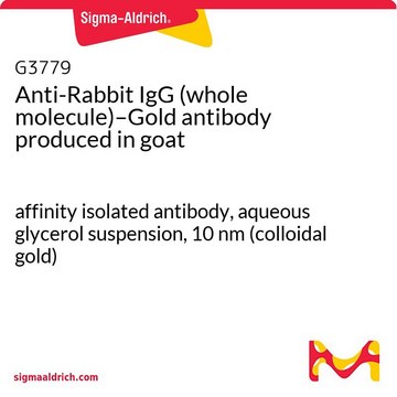 抗兔 IgG（全分子）-金 山羊抗 affinity isolated antibody, aqueous glycerol suspension, 10&#160;nm (colloidal gold)