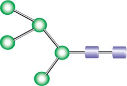MAN-5聚糖 ≥90% (HPLC)