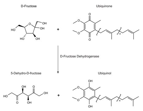 D-Fructose Dehydrogenase from Gluconobacter industrius lyophilized powder, 400-1,200&#160;units/mg protein